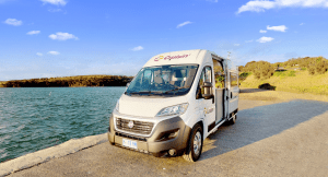 Cruisin Motorhomes 2 Berth Sandpiper