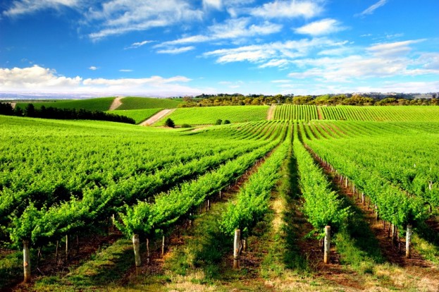 Barossa Valley, South Australia